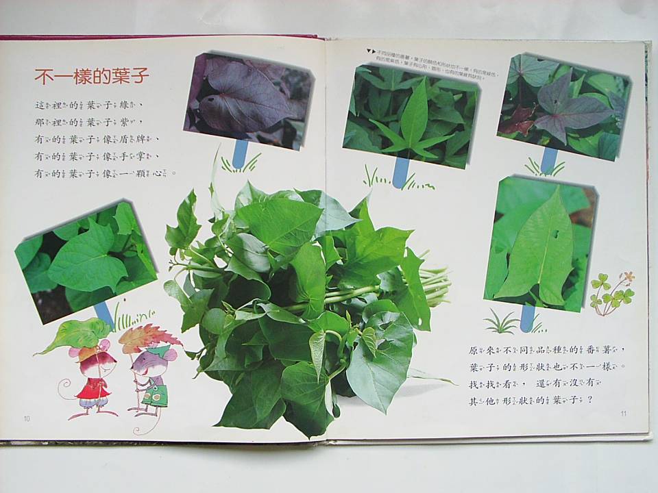番薯 (06),绘本,绘本故事,绘本阅读,故事书,童书,图画书,课外阅读